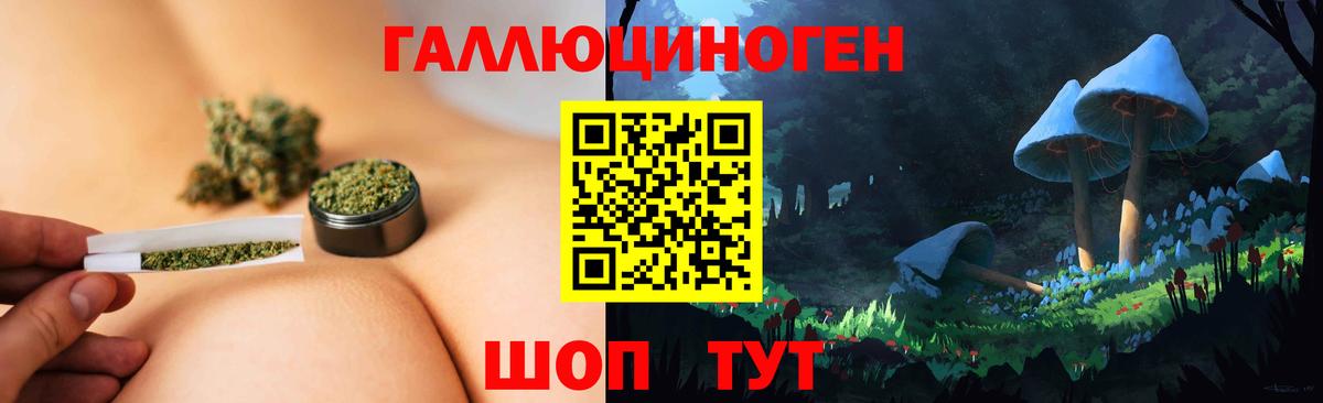 Псилоцибиновые грибы GOLDEN TEACHER Шахты
